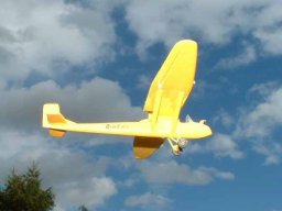 BAC (Kronfeld) Drone