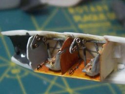 fieseler_8_20140301_1400324351