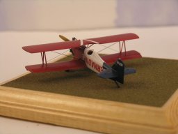 Fleet Model 1 Stunt Bipe