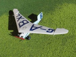 Granger Archaeopterix