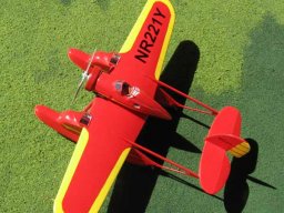 Rocheville Arctic Tern