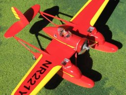 arctic_tern_02_20140317_2095772259