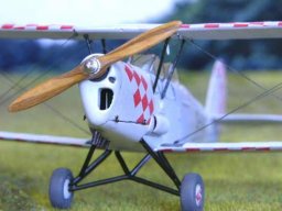 Stampe SV