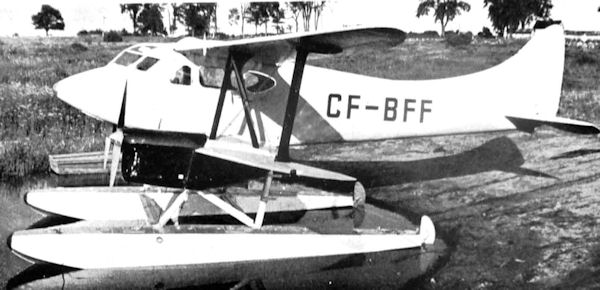 CF-BFF